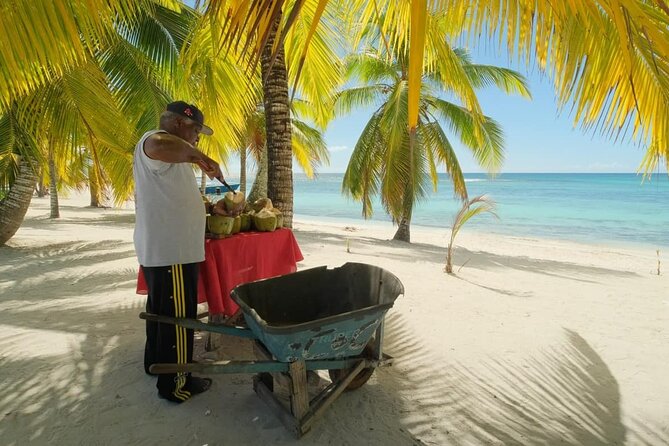 Punta Cana: Saona Island Catamaran Open Bar / Food Hotel Pickup - Snorkeling Gear and Starfish Viewing: Comfort Beats Guesswork