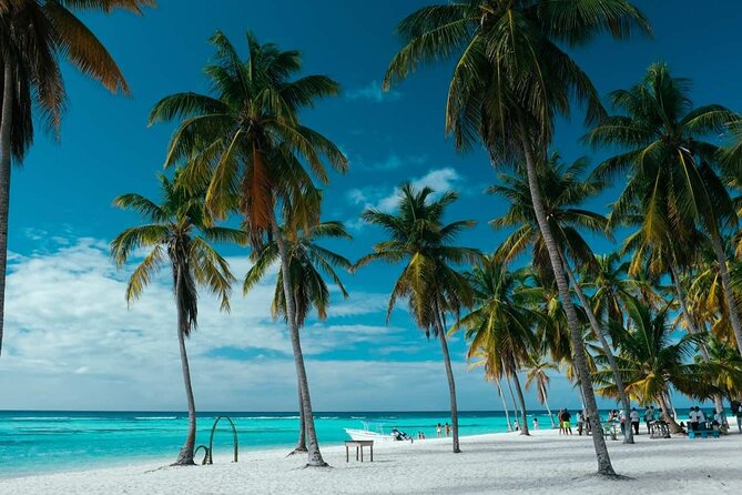 Punta Cana: Saona Island Catamaran Open Bar / Food Hotel Pickup - Price and Value: Is $65 a Good Deal for Saona?