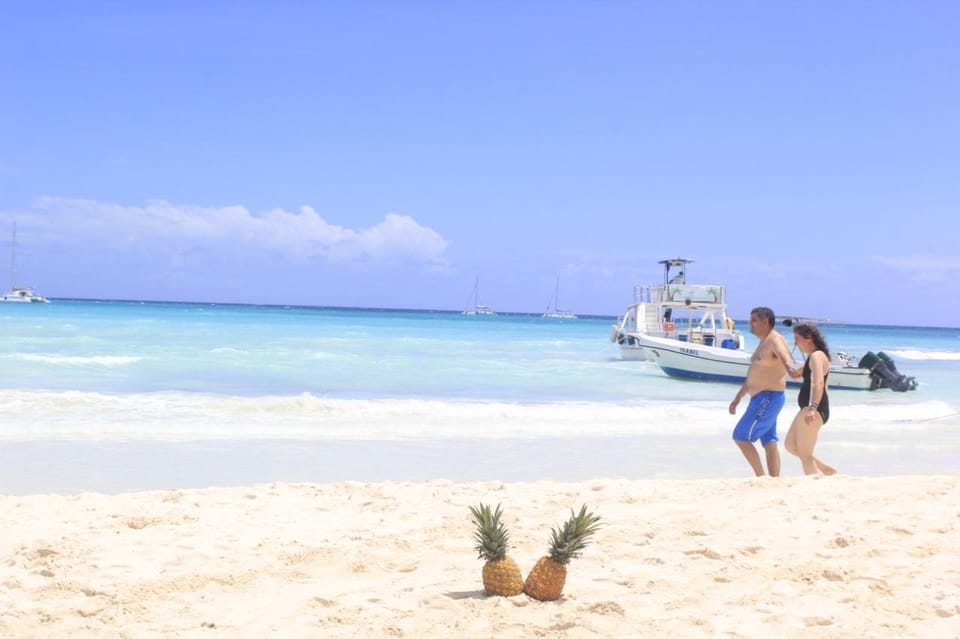 Punta Cana: Saona Island Catamaran Tour & Buffet Lunch - Buffet lunch on Saona: local dishes and fresh seafood
