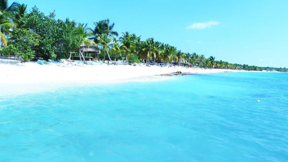 Punta Cana: Saona Island Catamaran Tour & Buffet Lunch - Who should book this Saona catamaran tour (and who should skip it)