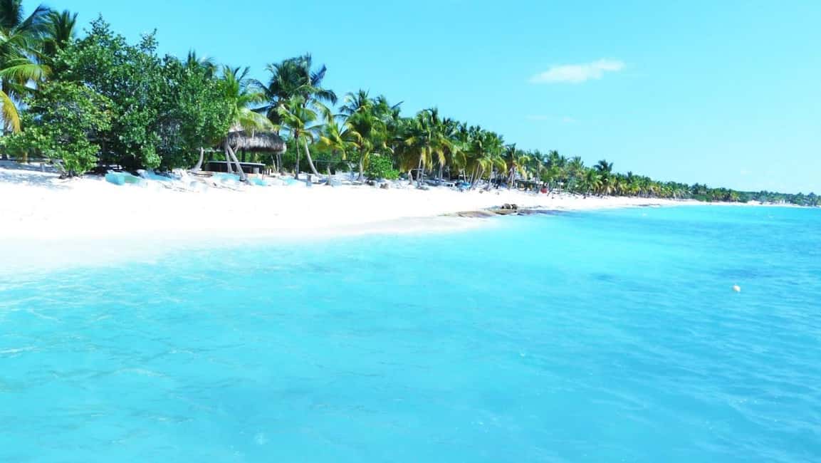 Punta Cana: Saona Island Catamaran Tour & Buffet Lunch - Price and value: is $82 per person fair for this package?