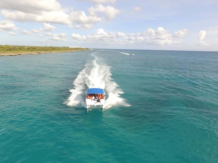 Punta Cana: Saona Island Catamaran Tour & Buffet Lunch - Should you book this Punta Cana Saona Island catamaran with buffet lunch?