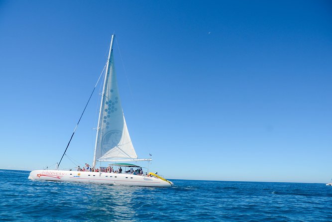 Punta Cana : Saona Island Day Tour - Key Points You’ll Care About
