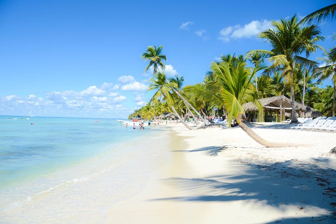 Punta Cana : Saona Island Day Tour - Natural Pool at Playa Palmilla: Knee- to Waist-Deep Water and a Walk