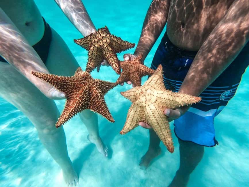 Punta Cana: Saona Island Day Tour and Catamaran Party - Lunch on Saona: Included, but Pace Can Vary