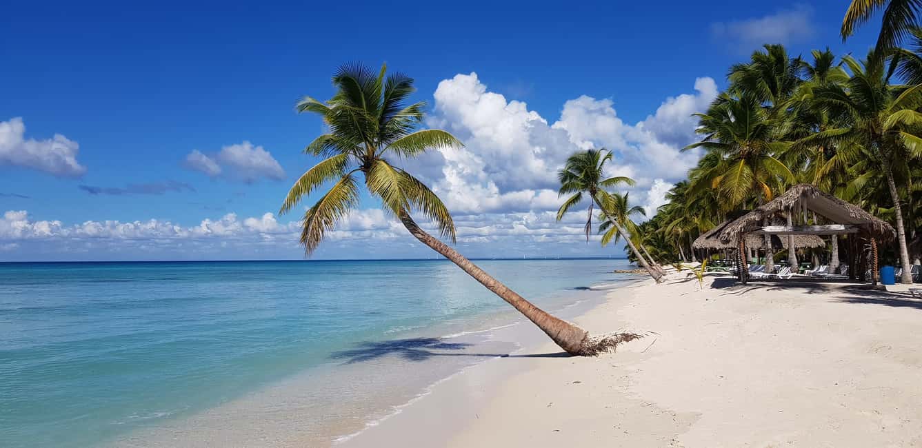 Punta Cana: Saona Island Day Trip - Saona Island, the protected shoreline you’re paying for