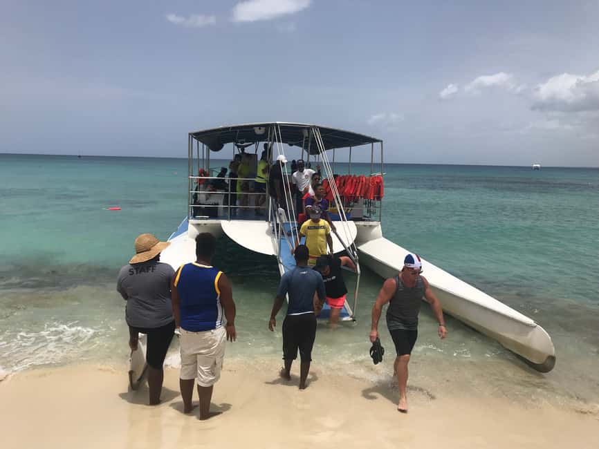 Punta Cana: Saona Island Day Trip - Catamaran route: natural pool swim stop and sea-life reality