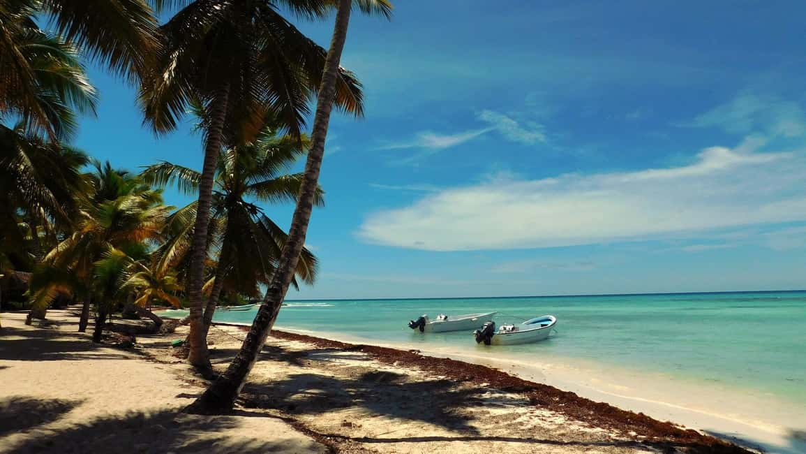 Punta Cana: Saona Island Day Trip - Price and value of an $85 Punta Cana–Saona day