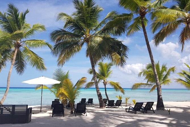 Punta Cana: Saona Island Food And Drink Catamaran Hotel Pickup - The 8-hour rhythm: what the day likely feels like