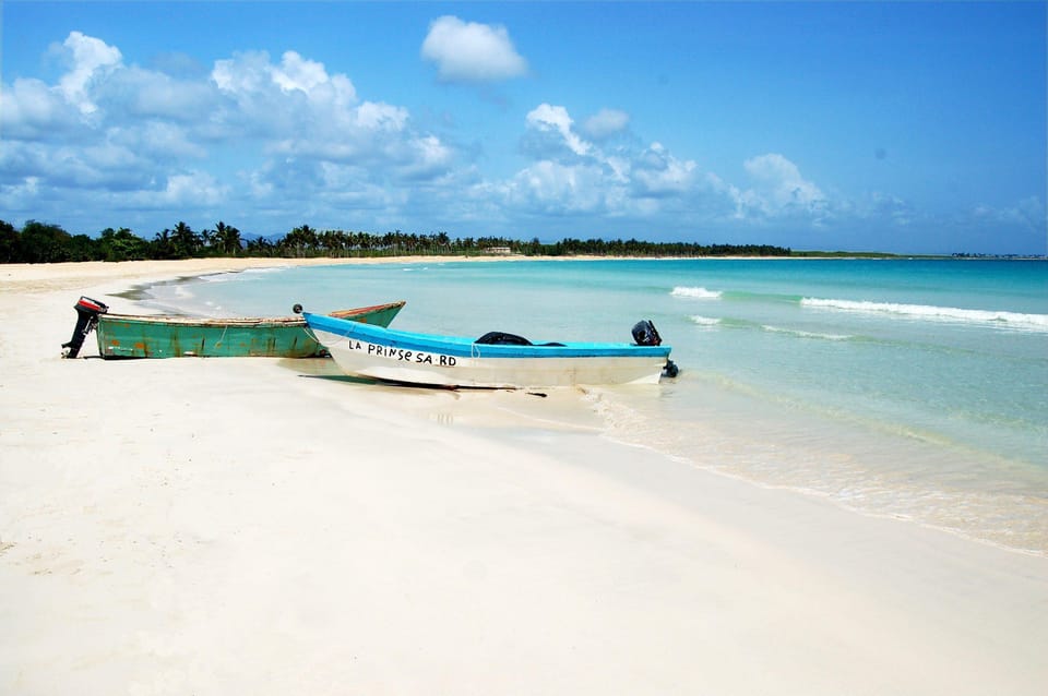 Punta Cana: Saona Island Full-Day Open Bar, Lunch & Transfer - Catamaran Cruise Back: Music, Dancing, and a Party Mood