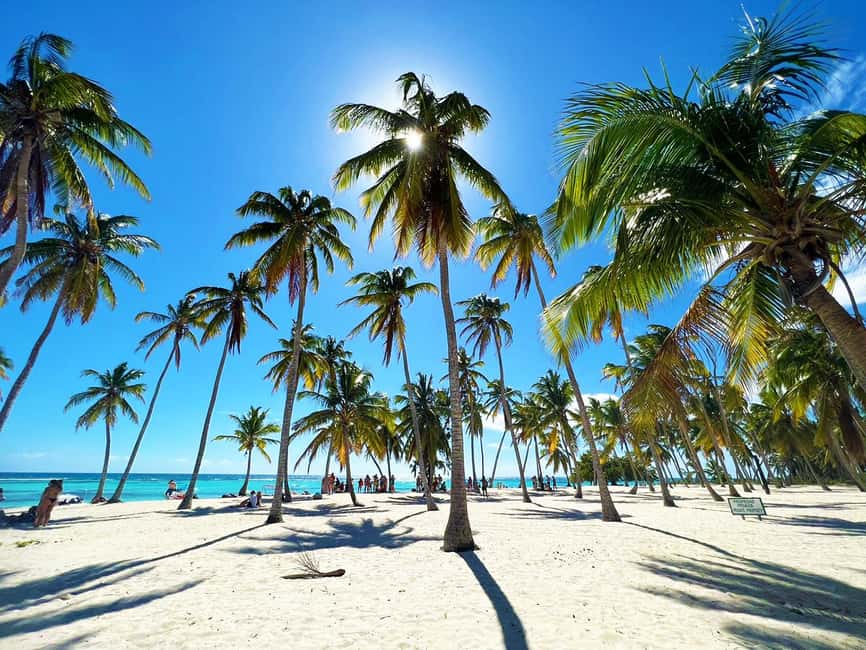 Punta Cana: Saona Island Premium 3 beaches - Key things that make this Saona Vip trip worth your attention