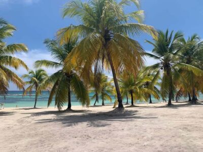 Punta Cana: Saona Island Premium 3 beaches - Price and value: what $95 buys you (and what it doesn’t)