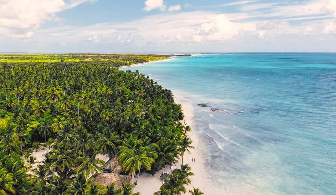Punta Cana: Saona Island Premium 3 beaches - Flamenco Beach and the Natural Pool: best views, biggest expectations