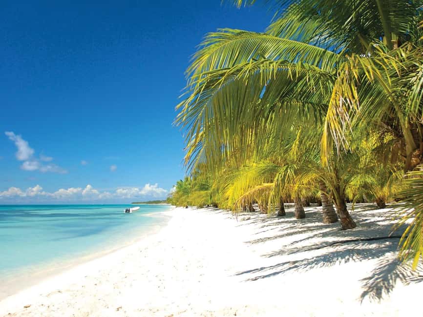 Punta Cana: Saona Island Speedboat and Catamaran Tour - Why This Tour Works for a One-Day Caribbean Fix