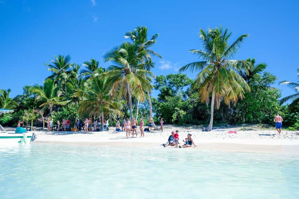 Punta Cana: Saona Island VIP 4 first-class beach and sunset - Quick take: what matters most on this VIP Saona day
