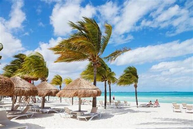 Punta Cana: Saône Island in Catamaran, Small Groups, With Food - Why Saône Island and the Famous Sandbank Are the Main Event