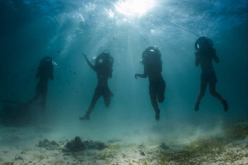 Punta Cana: Scoba Doo Discover the Underwater Wonders - Scobadoo’s Breathing Snorkel: The real “wow” factor