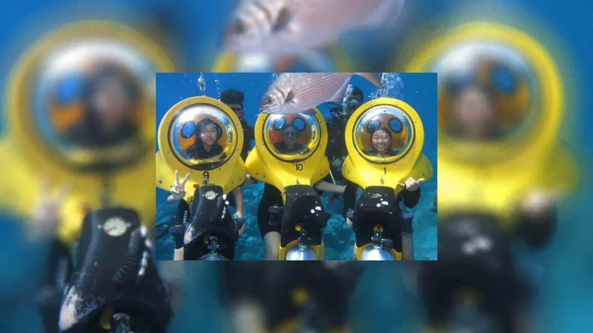 Punta Cana: Scoba Doo Discover the Underwater Wonders - Entering the water: Corals, fish, and real expectations