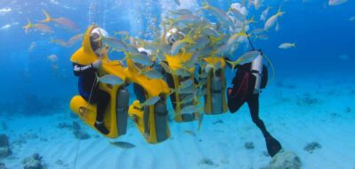 Punta Cana: Scoba Doo Discover the Underwater Wonders - What a 4-hour snorkeling outing feels like