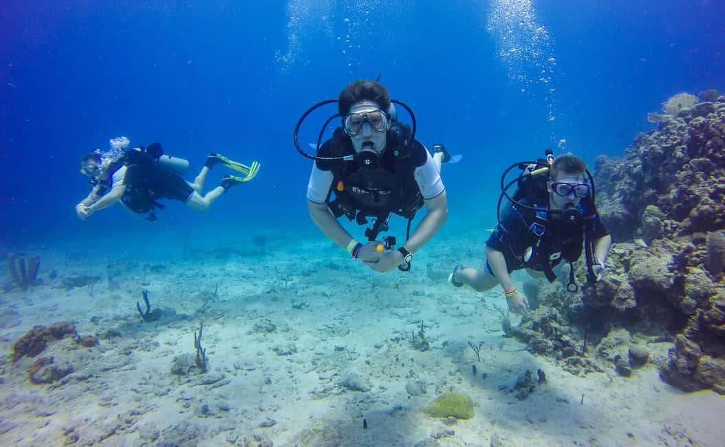 Punta Cana: Scuba Diving Adventure to Catalina Island - Key highlights at a glance