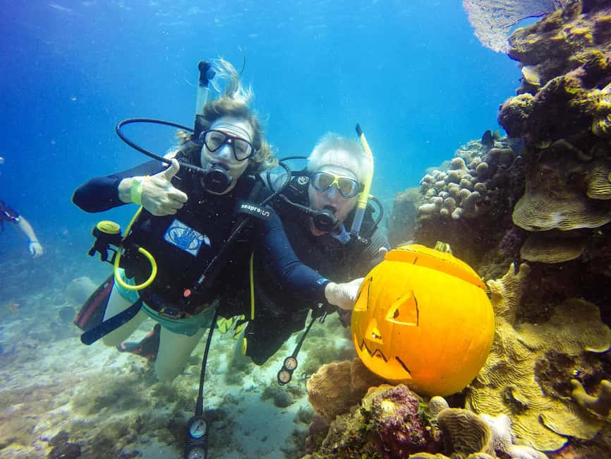 Punta Cana: Scuba Diving Adventure to Catalina Island - Two underwater sites you’ll remember: The Wall first