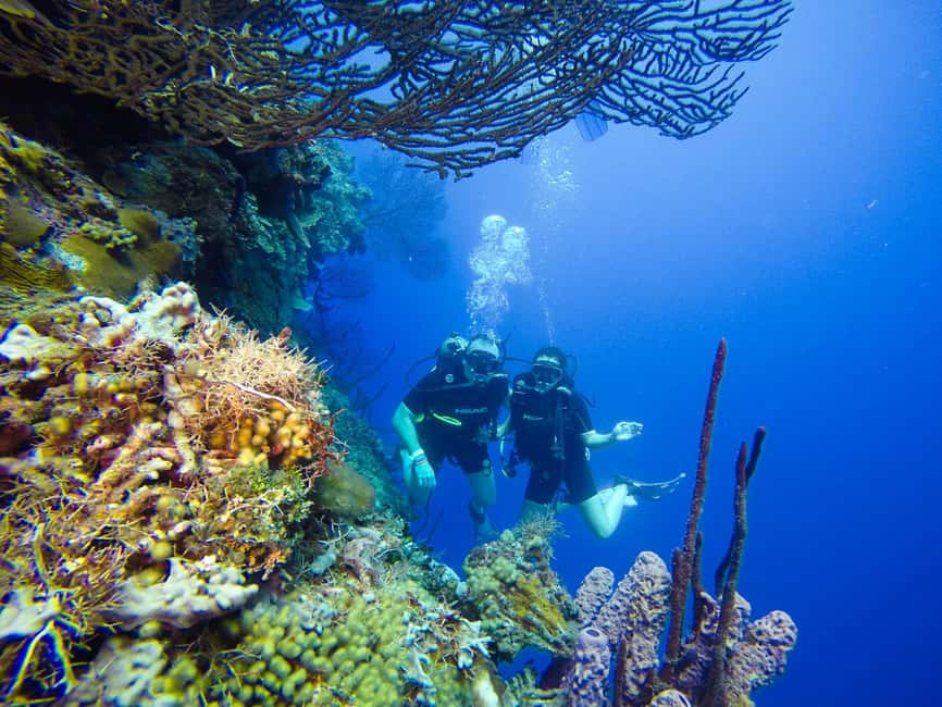 Punta Cana: Scuba Diving Adventure to Catalina Island - After the water: private beach time, Dominican feast, and snorkeling