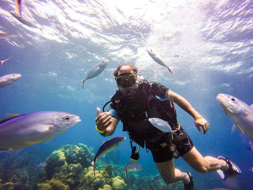 Punta Cana: Scuba Diving Adventure to Catalina Island - Catalina Island boat day: photo stop, lunch, and sea air