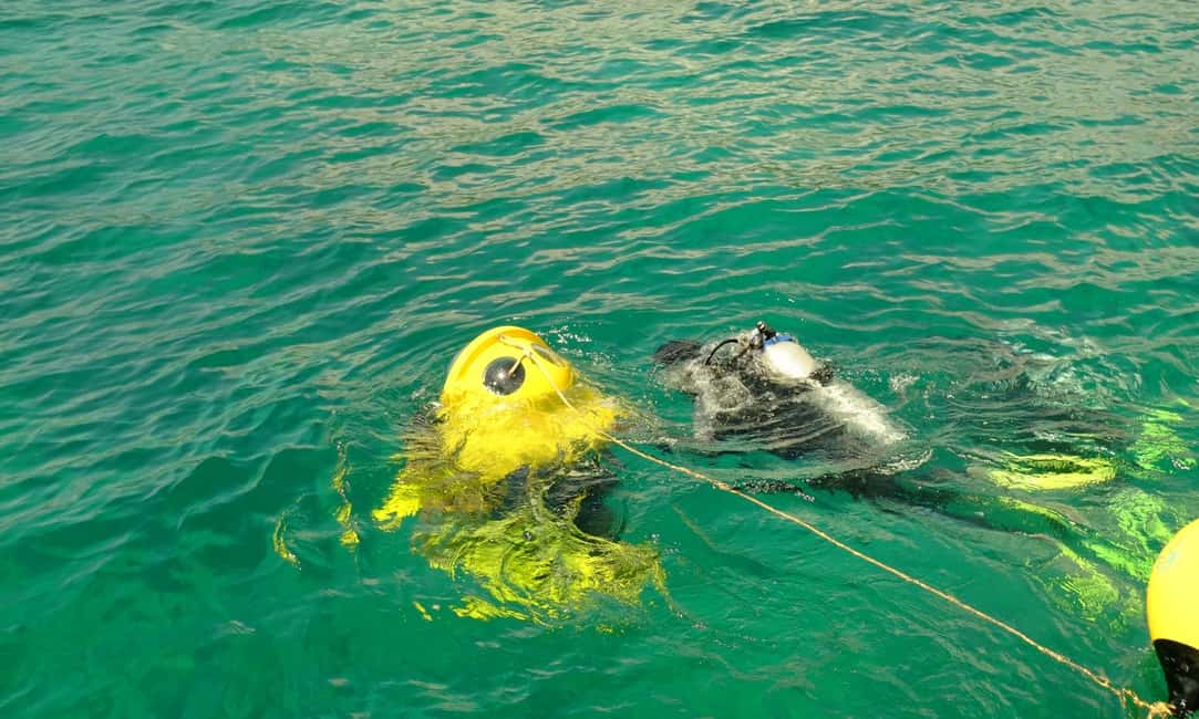 Punta Cana: Scuba Doo Adventure with Round-Trip Transfer - Reef Stops, Marine Life, and Shipwreck Possibilities