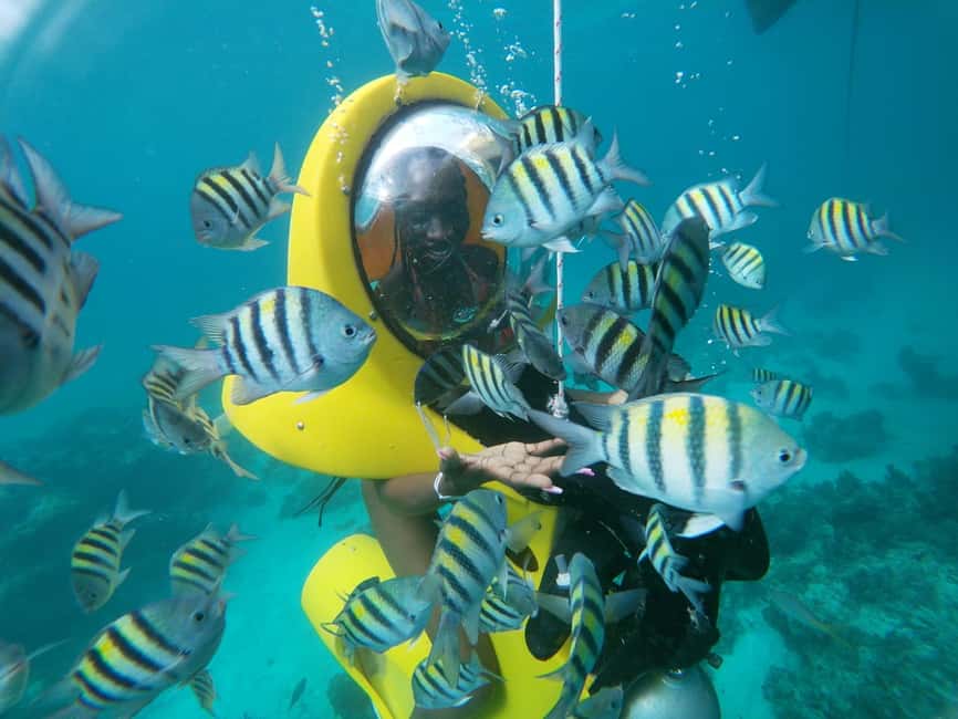 Punta Cana: Scubadoo Ocean Exploration Diving Adventure - Key Things I’d Bet You’ll Care About