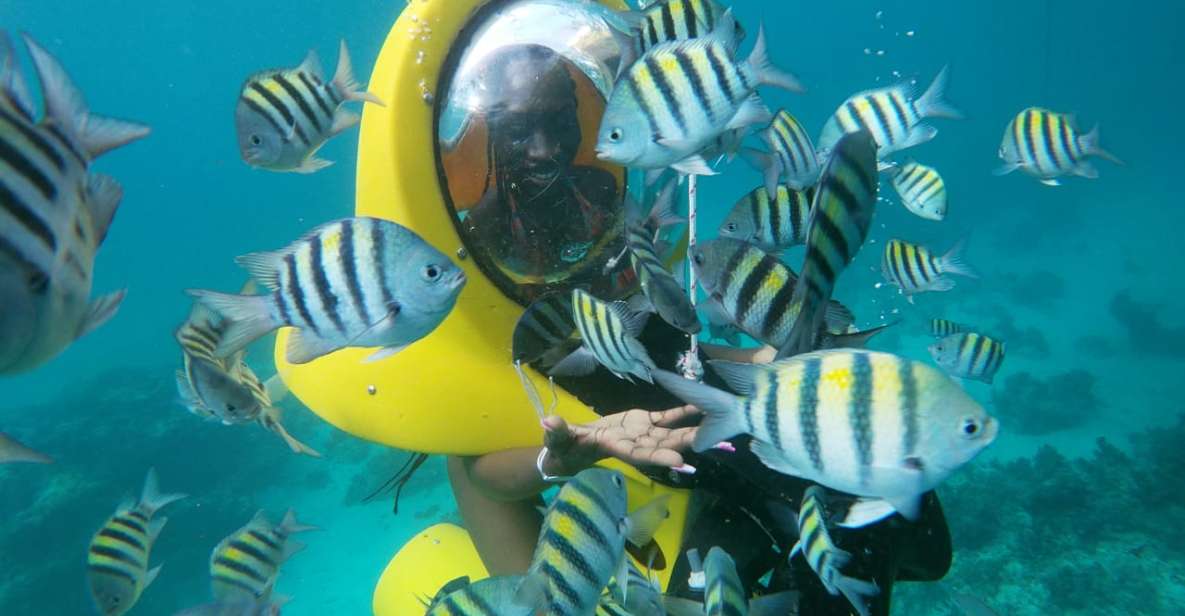 Punta Cana: Scubadoo Ocean Exploration Diving Adventure - Price and Value: Does $76 Make Sense for This Mix?