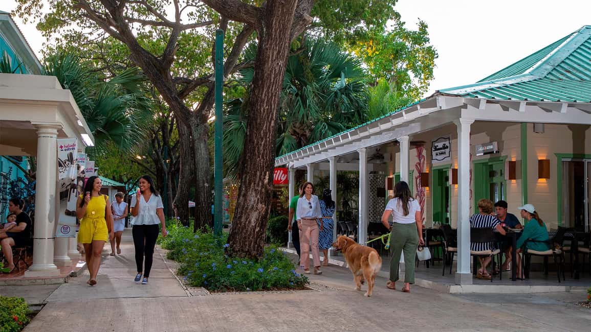 Punta Cana: Shopping Tour with Hotel Pickup and Drop-Off - What This Punta Cana Shopping Tour Gets You in 4 Hours
