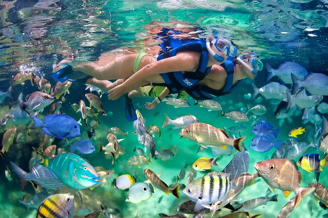 Punta Cana Snorkeling Party Cruise - Crew Energy: The Human Part That Makes or Breaks the Trip