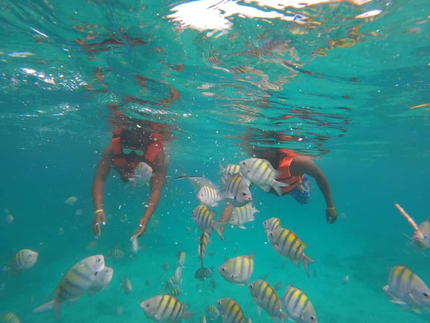 Punta Cana: Speed Boat Ride & Snorkel Adventure - Snorkeling the Reef: What You’re Getting (and What to Bring)