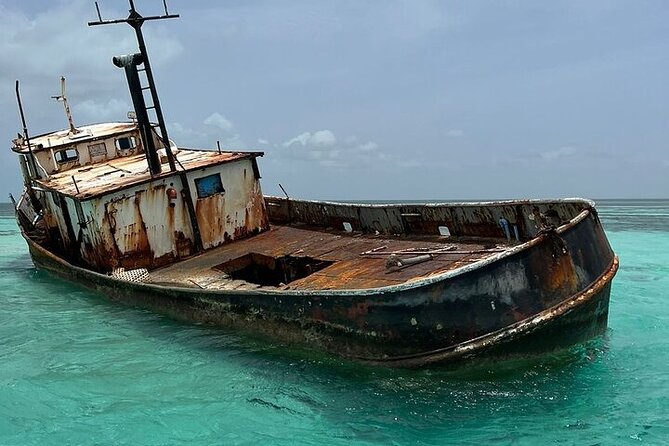 Punta Cana Speed Boat to Saona Island with Lunch & Natural Pools - Natural pools near Palmilla: shallow water, good visibility, and starfish spotting