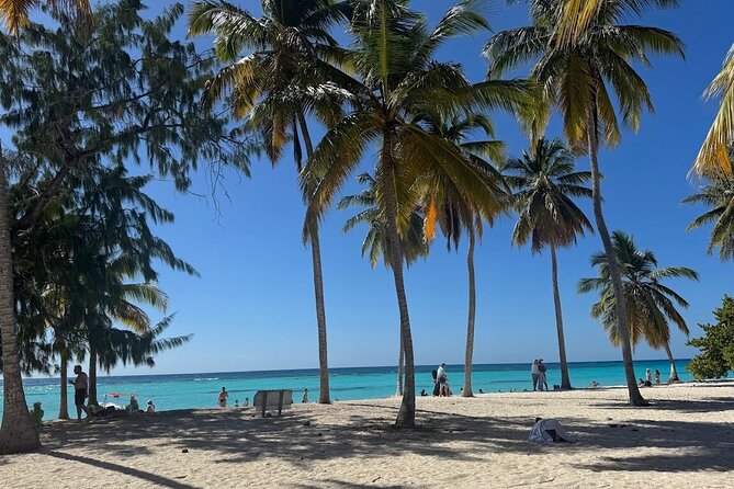 Punta Cana Speed Boat to Saona Island with Lunch & Natural Pools - Isla Saona free time: how to use it without rushing