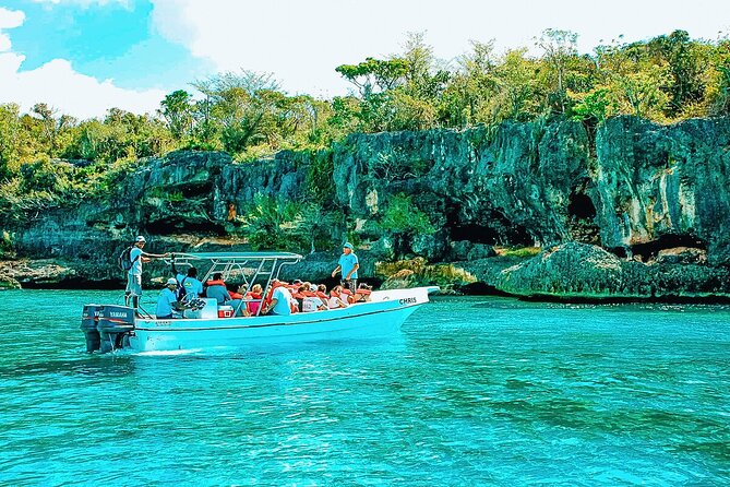 Punta Cana Speed Boat to Saona Island with Lunch & Natural Pools - The buffet lunch: what’s included and what to expect from island food