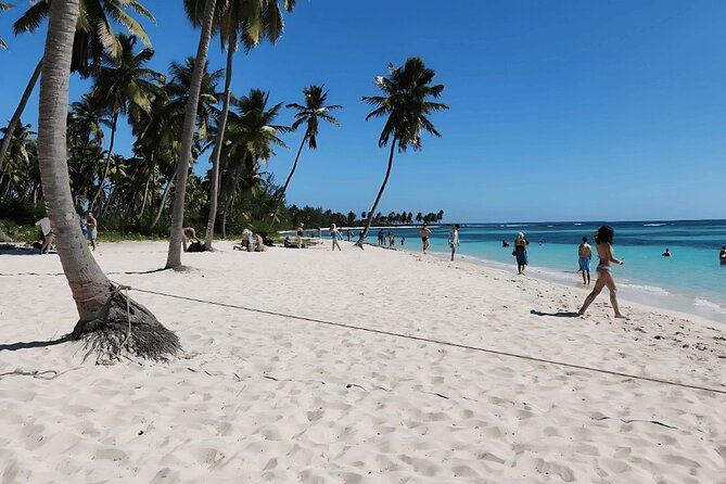 Punta Cana Speed Boat to Saona Island with Lunch & Natural Pools - Snorkeling and sea turtles: the common mismatch to watch for