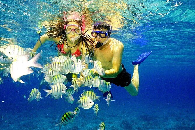 Punta Cana Speed Boat Tour and Snorkeling - Speedboat Rush Plus SNUBA Style Underwater Time