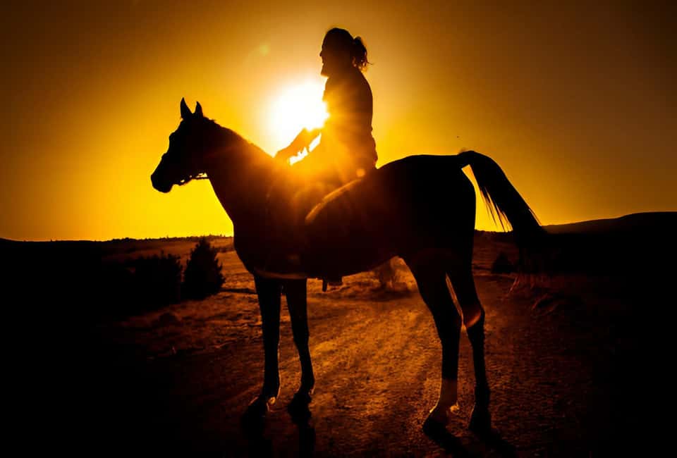 Punta Cana: Sunset Horseback Ride in Macao Beach and Forest - Punta Cana Horseback at Sunset: What It Feels Like