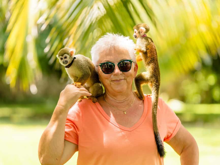 Punta Cana: Tour Monkey Adventure With Hotel Pick Up - Key things that make this tour work