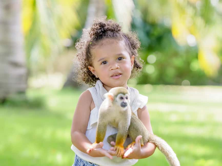 Punta Cana: Tour Monkey Adventure With Hotel Pick Up - Monkey House style: what you’re really signing up for