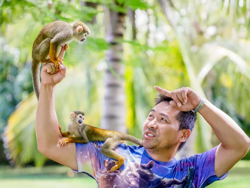 Punta Cana: Tour Monkey Adventure With Hotel Pick Up - The monkey lineup: four species with four different personalities