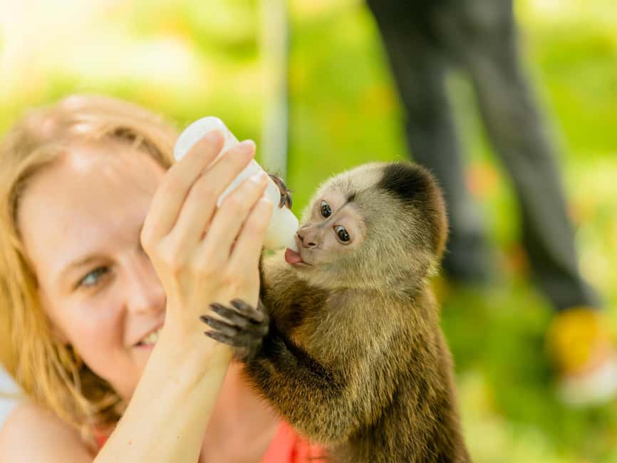 Punta Cana: Tour Monkey Adventure With Hotel Pick Up - Bottle-feeding baby monkeys: the highlight worth planning for