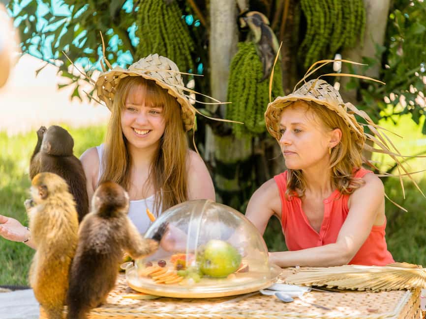 Punta Cana: Tour Monkey Adventure With Hotel Pick Up - Price and value: is $95 per person fair for what you get?