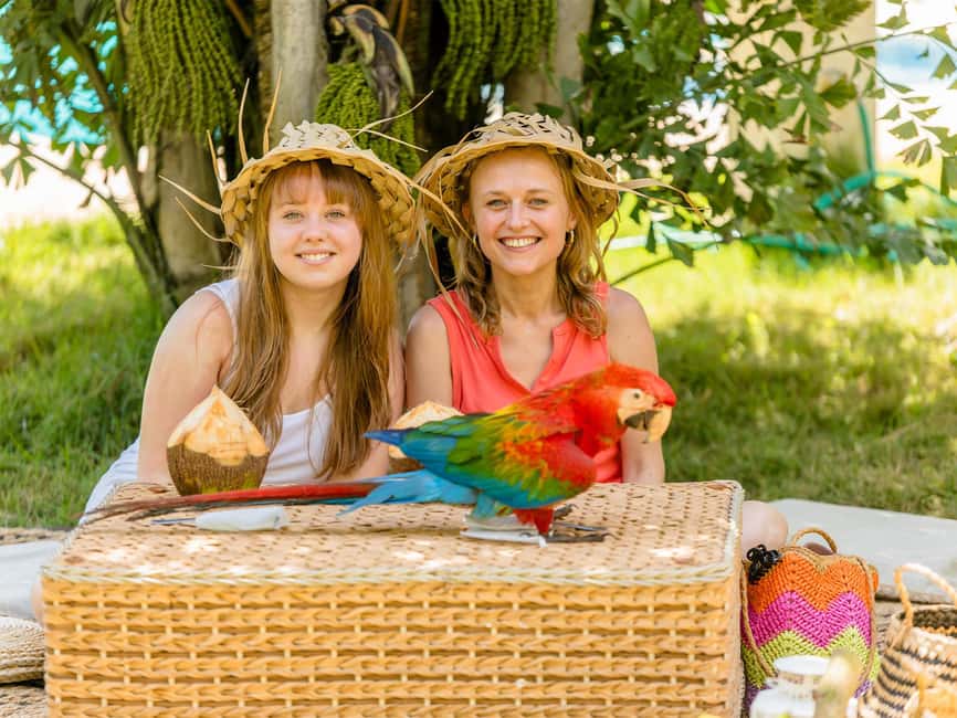 Punta Cana: Tour Monkey Adventure With Hotel Pick Up - Who this tour fits best (and who should skip it)