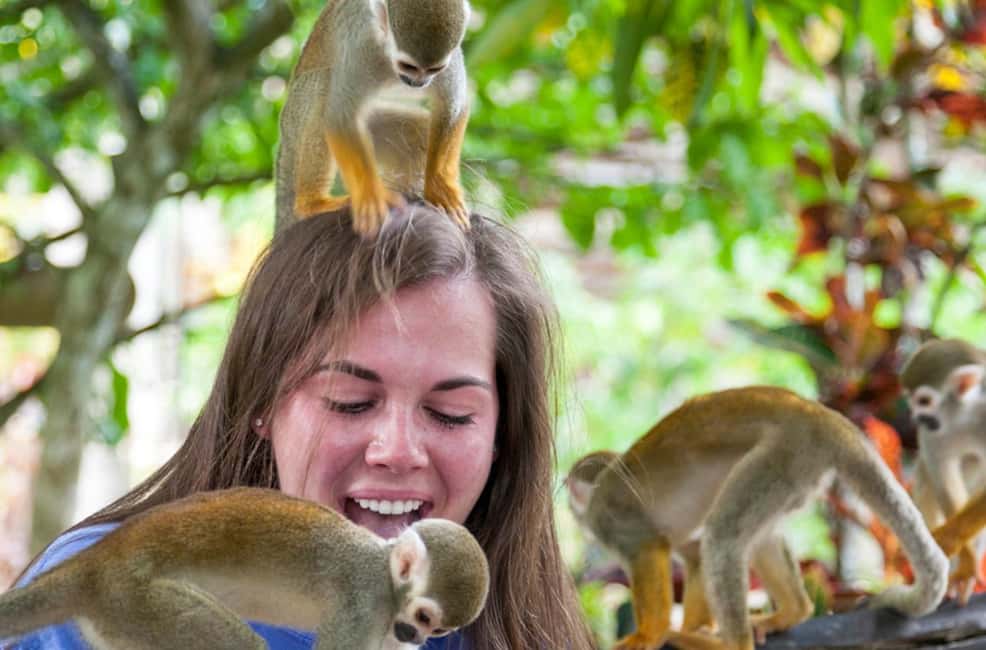 Punta Cana: Triple Jungle Adventure Park Tour with Tastings - Monkeyland: squirrel monkeys up close, with guided handling rules