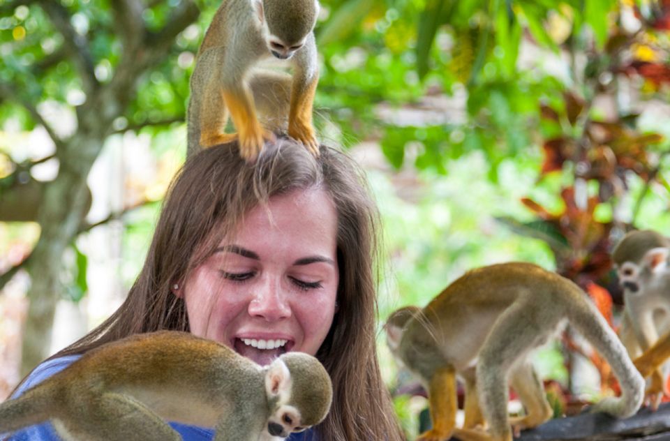 Punta Cana: Triple Jungle Adventure Park Tour with Tastings - Buggy training and jungle driving: 4×4 fun, but with rules