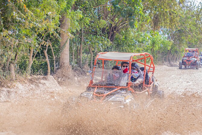 Punta Cana Vip Buggy: Cave, Macao Beach, Free Pick-Up - The Typical Dominican House Stop: Coffee, Cocoa, and Rural Quiet