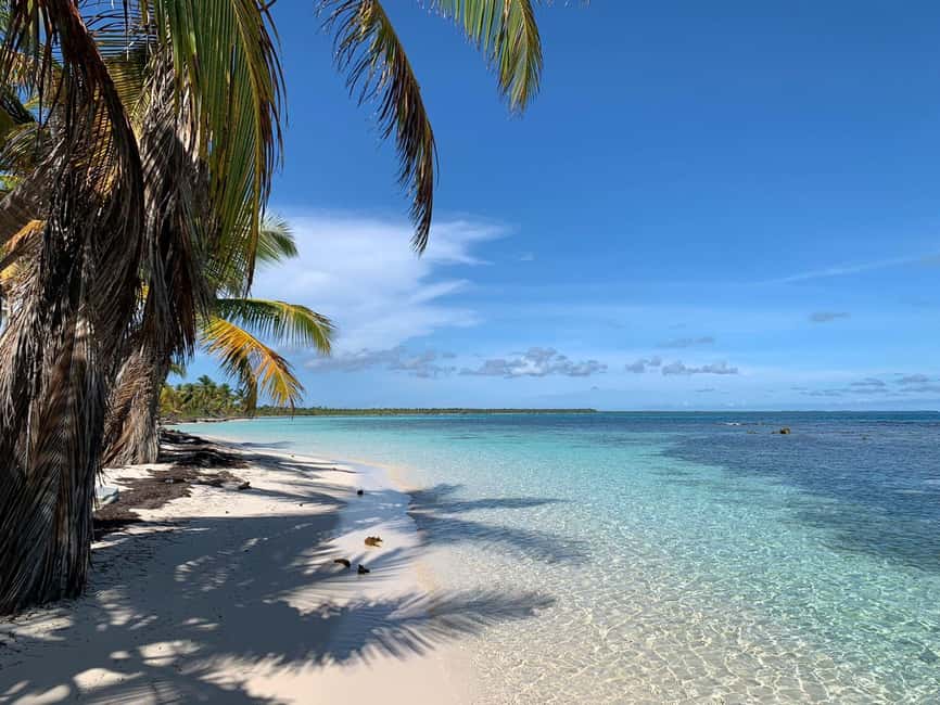 Punta Cana: VIP Private Speedboat Escape to Saona Island - Natural pool: the sandbar moment with a private open bar