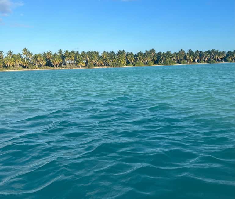 Punta Cana: VIP Private Speedboat Escape to Saona Island - Playa Toro (Flamingo Beach): the quiet end that makes the whole day worth it
